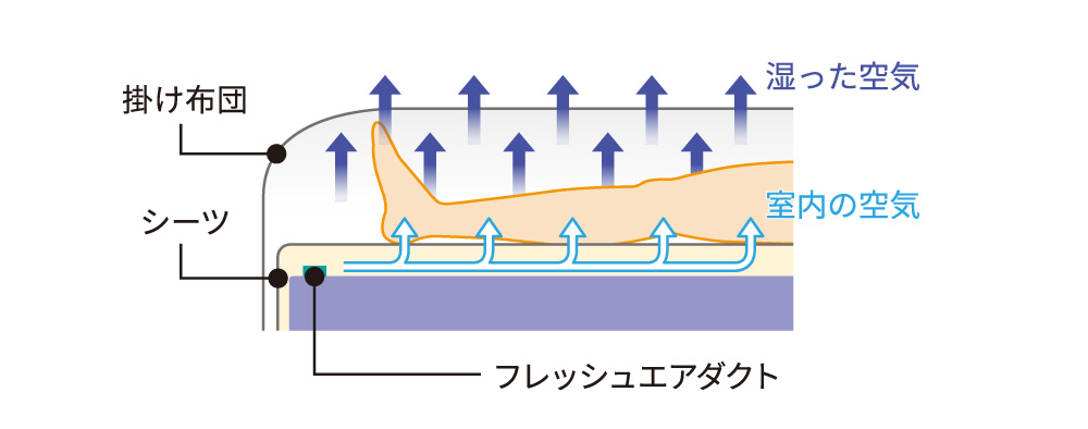 アクシオの場合