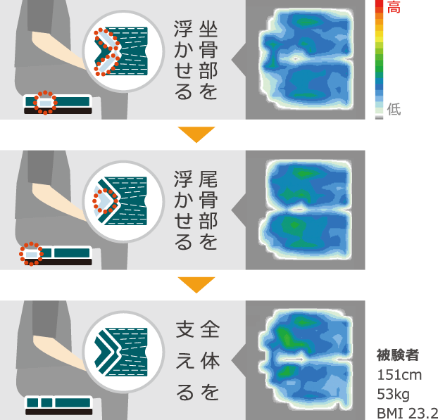 被験者：151cm・50kg・BMI 21.9